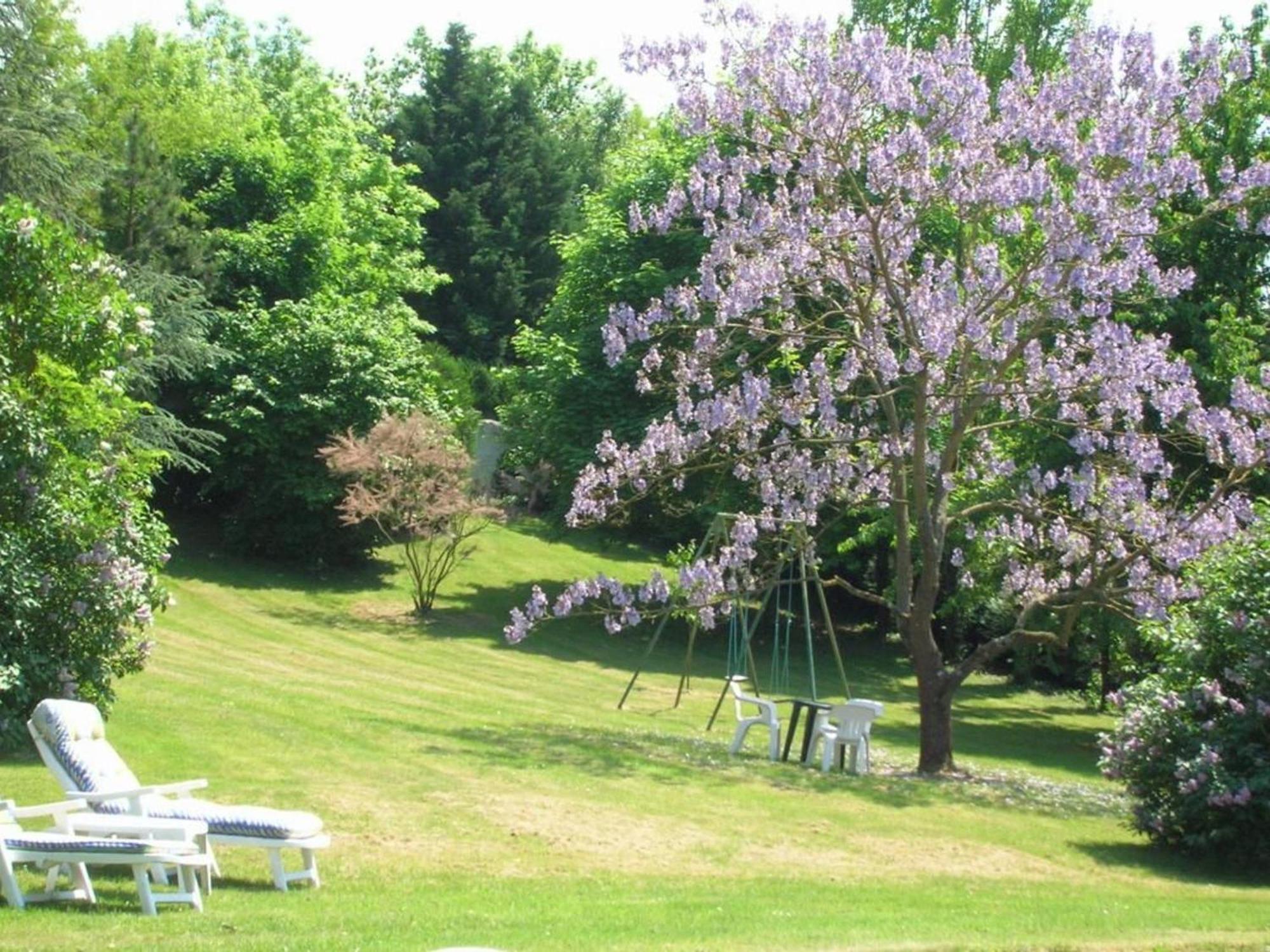 Charme Au Coeur Des Chateaux De La Loire Avec Wifi - Fr-1-590-305 Bed and Breakfast Tavers Exterior foto